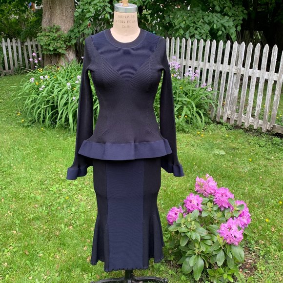 💗 HOST PICK 💗   NWT Herve Leger Paris Pencil Skirt & Peplum Top - Picture 2 of 16